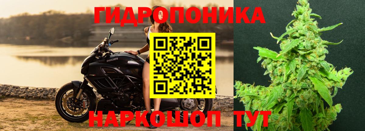 МАРИХУАНА LSD WEED  Канабис план  МАРИХУАНА сатива  Свободный  Вход с VPN  Канабис White Widow 