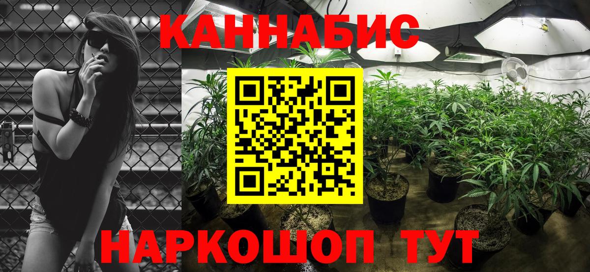 МАРИХУАНА Bruce Banner Свободный